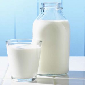 Yogurt bianco di latte vaccino