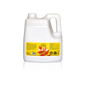 Intimo Natù 4 Litri Tanica Bioplastica