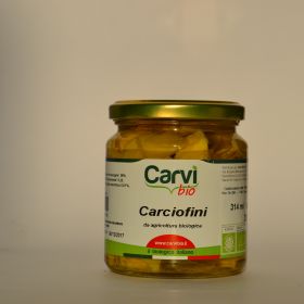 Carciofino a spicchio BIO
