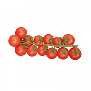 Pomodoro ciliegino